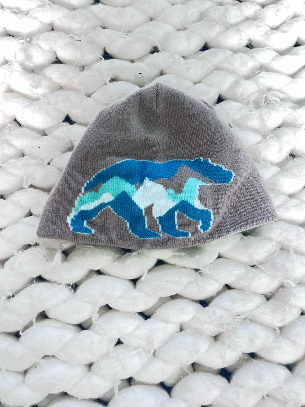 Reversible The North Face Kids Aqua/Turquoise Beanie with Gray Trim